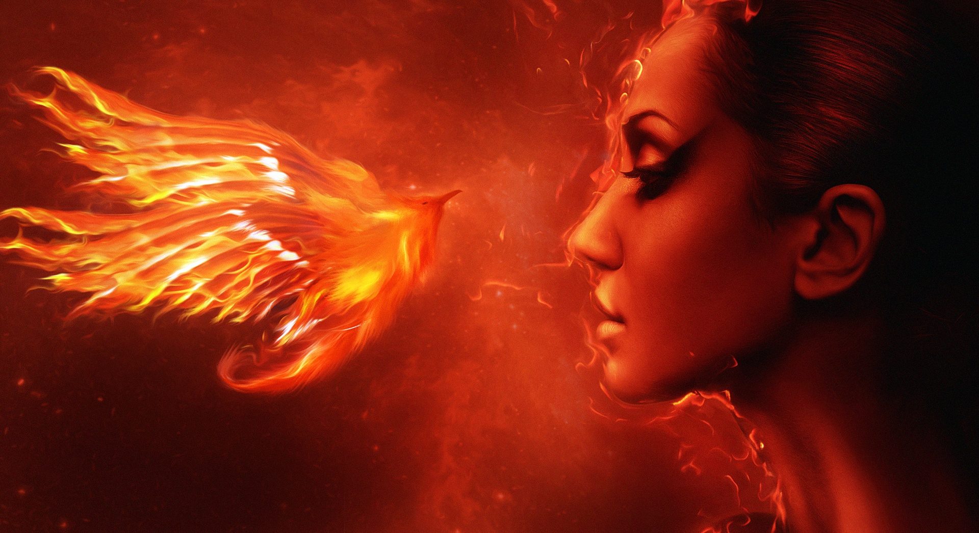 fenix-wallpaper-1920x1080