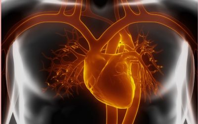 4. The Heart Condition That Changed Everything (And How I Healed)