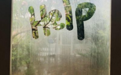 10. A Flood, A Promise, A Miracle: God Spoke to Me That Day