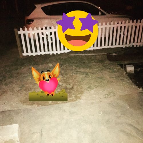 Blog11 (9)