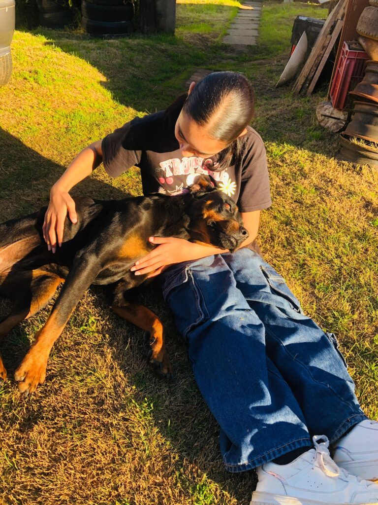 Blog 17 (2)